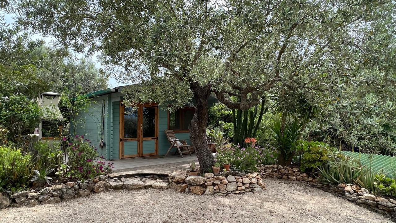 Finca Florecer Tivenys Экстерьер фото
